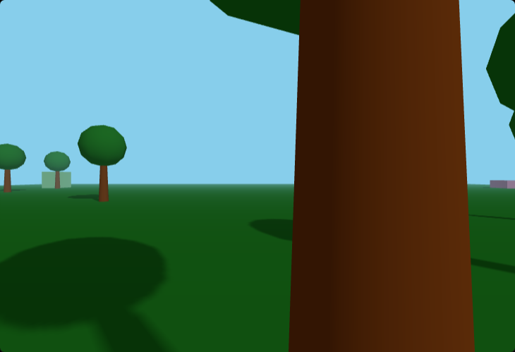 First-Person Camera preview